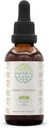 Ceylon Cynamon B60 Wyciąg ziołowy wolny od alkoholu nalewka, skoncentrowane płynne krople naturalny cynamon (Cinnamomum Verum) (2 fl oz)