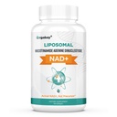 Orgabay Liposomal NAD + Suplement 500 mg, Wysoka Absorpcja, Wzmacnianie NAD + z TMG 250 mg, Rzeczywisty NAD Plus bardziej wydajny niż Nikotynamid Ribozyd, Wsparcie energii komórkowej, Zdrowe Starzenie 124; 60 Softgels