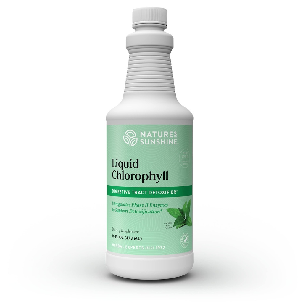 Nature 's Sunshine Liquid Chlorophyll - Immunitet Support, Detox & Cleanse, Chlorophyll Liquid Drops with Spearmint Oil, Natural Energy Boost, Wewnętrzny Deodorant - 16 Fl Oz