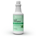 Nature 's Sunshine Liquid Chlorophyll - Immunitet Support, Detox & Cleanse, Chlorophyll Liquid Drops with Spearmint Oil, Natural Energy Boost, Wewnętrzny Deodorant - 16 Fl Oz