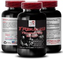 Natural Stamina Boost - TRIBULUS TERSTARIS Extract - Siła i wsparcie aktywności, Energy Optimization Formula, Plant- Based Power, Body Performance Mieszanka, Aktywny odzysk, Energia Flow 1Bot 90Tabs