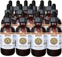 Hawaii Pharm Garlic (Allium sativum) Liquid Extract 15x4 Oz