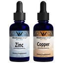 WelnessOne jonowy ciecz cynku i miedzi - Zinc- miedź wiązka do wsparcia układu immunologicznego & Joint, Nerve & Bone Health - 1.67 fl oz cynku i miedzi płynne krople
