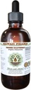 Chiński Goldthreae Alcohol- Free Liquid Extract, Chiński Goldthread (Coptis Chinensis) Suszony glicerol korzeniowy Hawaii Pharm Natural Herbal Supplement 2oz