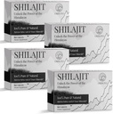 30 000 mg Shilajit Tablets, 100% Shilajit Pure, Himalayan Organic, Shilajit for Men and Women Rich in Fulvic Acid & 85 + Ślad Minerałów, Suplement Shilajit dla Energii i układu immunologicznego, 240
