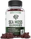Irish Sea Moss Gummies - 3000MG - przygotowano w / Irish Sea Moss, Bladderwrack & Burdock Root, Zawiera witaminę i minerał - Antyoksydant- bogaty suplement Superfood, 60 Sea Moss Gummies dla dorosłych