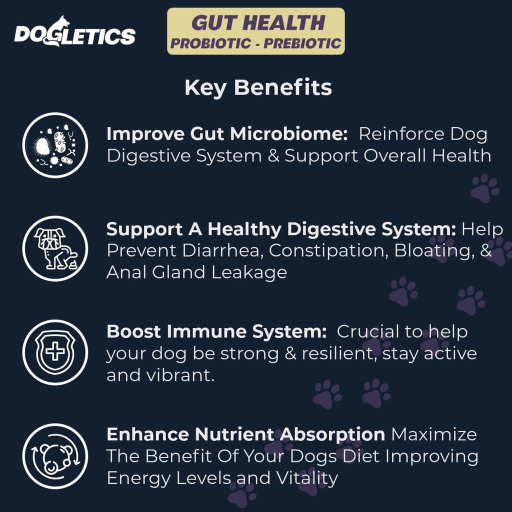 Gut Health Probiotic & Prebiotic - 90ct Wsparcie Stomach Microbiome, Zapobieganie problemów trawiennych, Ograniczenie problemów z glebą analną, Poprawa funkcji immunologicznej i energii ogólnej