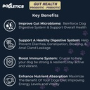 Gut Health Probiotic & Prebiotic - 90ct Wsparcie Stomach Microbiome, Zapobieganie problemów trawiennych, Ograniczenie problemów z glebą analną, Poprawa funkcji immunologicznej i energii ogólnej