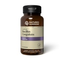 Nature 's Sunshine Nutrive biome Bacillus Coagulans Probiotics, 90 Kapsułki 124; 3 Miliard CFU Bacillus Coagulans Probiotic Helps Bronić przeciwko Digestive Usset i Okazjonalne Biegunka, Gaz i Bloating