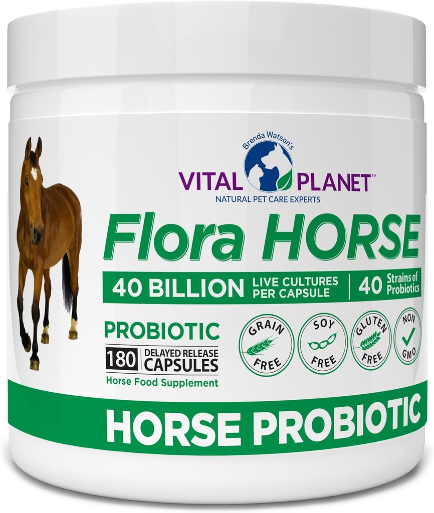 Vital Planet - Flora Horse Probiotic, High Potency Equine Probiotics with Prebiotics, 40 Billion Live CFU from Multiple Strains, Digestive and Immune Support, 180 Delayed Release Capsules (180 Days)