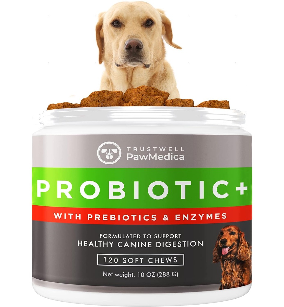 PawMedica Probiotyki i Enzymy Żywieniowe, Probiotyki dla psów Made in USA, Probiotyczne Przeżuwki dla psów, Prebiotyki i Probiotyczne Dog Digestive Support, Probiotyczne zabiegi - 120 Psie Przeżucia Probiotyczne