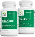 Terry Natural SinuCare - Bronchial Wellness Supplement - Healthy Sinus Aid - Dietetyczny Suplement do Wsparcia Zdrowych Płuc - 60 Softgels (2 Pack)