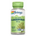 SOLARAY Bladderwrack kapsułki 580 mg - Suplement do wodorostów morskich pakowanych w składniki odżywcze, Wysoka zawartość jodu - Zbalansowane wsparcie ziołowe - Vegan, Non-GMO, 60- Day Guarantee, Lab Verified - 100 Servings, 100 VegCaps