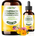 Lympatic Dreanage Drops Pack 1- Lymph Detox, Circulation - Lympatic Dreanage Supplements with Herbs Organic, Echinacea, Dandelion, Burdock, Cleaver Herb - Immune System Support & Cleanse