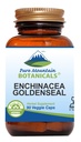 Echinacea Goldenseal kapsułki - Kosher Vegan Czapki z 450mg Organic Echinacea Goldenseal Complex