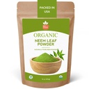 SPICY ORGANIC Neem Proszek - 16 oz. - Certified USDA Organic -Non-GMO - Świeże suszone Neem Leaves Proszek dla zdrowych włosów i skóry - Azadirachta Indica Ayurvedic Herb dla ogólnego Wellbeing