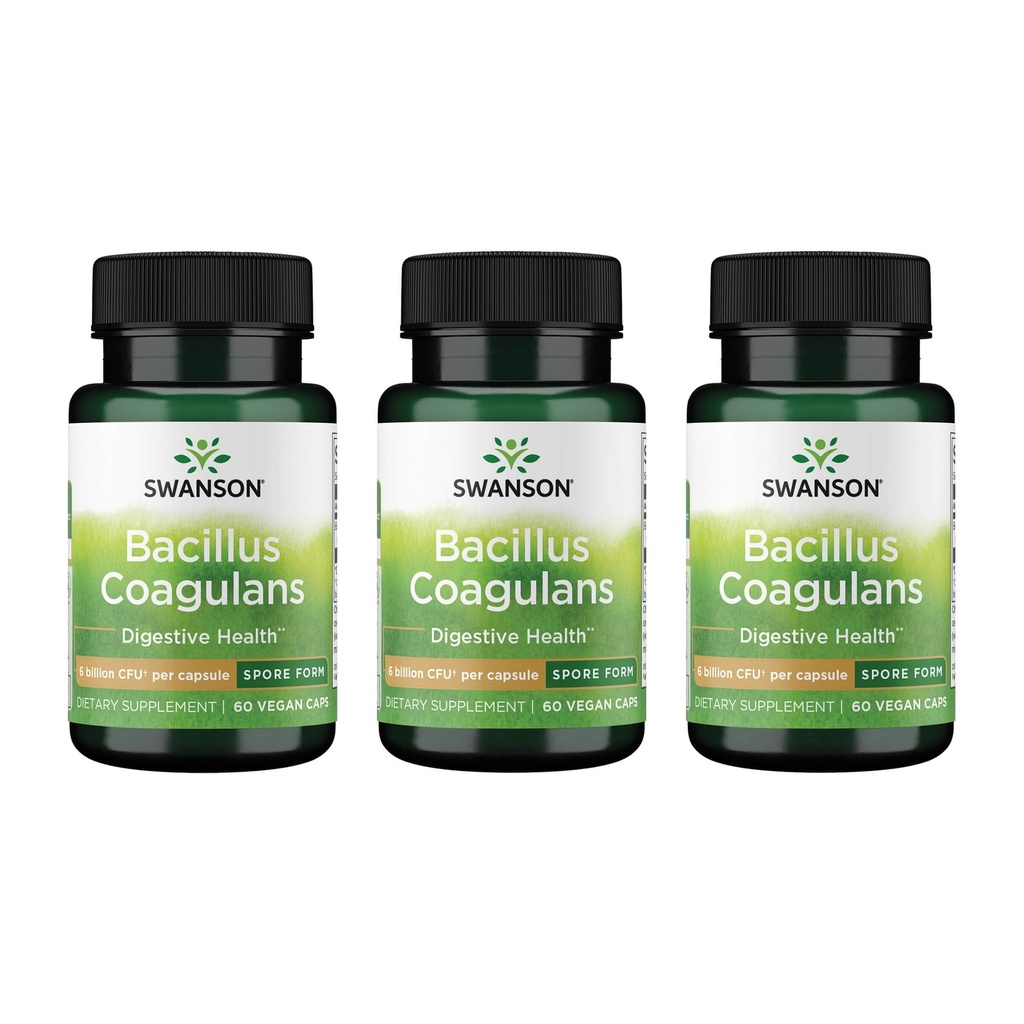 Swanson Bacillus Coagulans - Natural Probiotic Supplement Supplement Supplement Support Digestive Health w / 6 Miliard CFU - May Support GI & General Gut Health - (60 Veggie kapsułki) 3 Pack