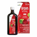 Hübner Hubner Iron Vital Liquid Iron Supply Plus Witamina C, Suplement diety dla dorosłych i dzieci, Wegan i gluten- Free, Flavor owoców, 500 ml Butelka, 50 Służenie