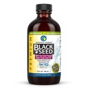 Niesamowite zioła Premium Black Seed Oil - Gluten Free, Nie GMO, Cold Pressed Nigella Sativa Aid in Digestive Health, Wsparcie immunologiczne, Funkcje mózgu - 8 Fl Oz