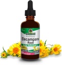 Odpowiedź natury Elecampane Root 2 oz. Niski alkohol organiczny 2000mg - Suplement ziołowy - Nie GMO & Kosher - Niski alkohol gluten wolny 100% wegan - 2 FL Oz