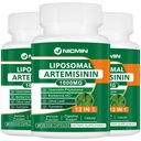 Liposomal Artemisinin Supplement 1000mg, Sweet Wormwood Extract with 200mg Quercetin Phytosome, Maximum Absorption for Antioksydant 180 Kapsułki