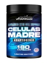 VITAMISAN Celulas Madres 180 Kapsułki - Stem Cell Blue Green Algae - Non GMO - Gluten Free AFA -Celula Madre Supplement - Lwie 's Mane Beta Glucan wspomaga zdrowe starzenie i pobudza immunologiczne Spirulina.