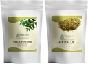 HERBAL HILLS Neem Leaf Powder i Gurmar Powder Gymnema Sylvestre Opakowanie 2 Combo