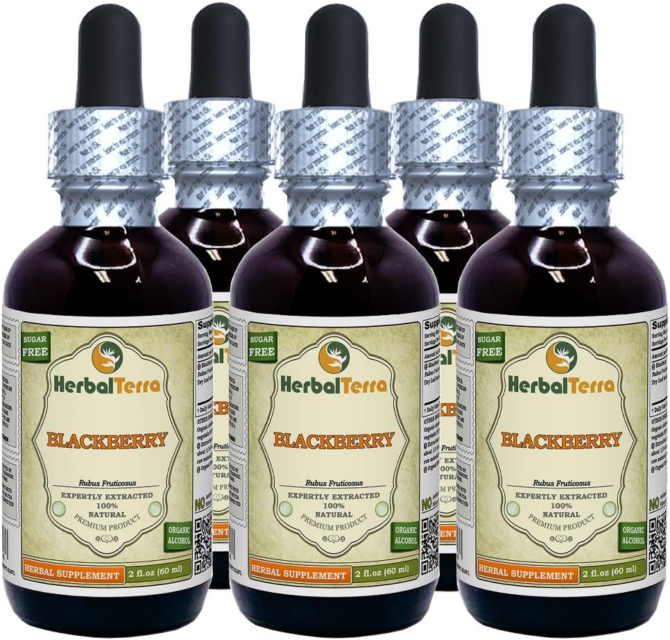 BlackBerry (Rubus fruticosus) Tincture, Organic Dried Leaves Liquid Extract (Nazwa marki: HerbalTerra, Proudly Made in USA) 5x2 fl.oz (5x60 ml)