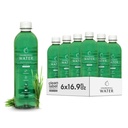 Chlorofil Woda - Płynny Chlorofil 6- Pack (16.9oz) 124; Napoje kosmetyczne dla świecącej skóry, Antystarzenie i Boost tlenu 124; Witaminy A, B12, C, D, 124; Witamina Woda 124; Czyste etykiety 124; Hydration Support