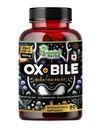 Humming Herbs Ox Bile z Digestive Enzymes & Pre / Probiotyka 90 Veg Caps Kwas cholowy, Inulina, Betaine HCl, Peppermint, Bromelain Zdrowa trawienie i odżywczy Wchłanianie - Bile Salts Suplement