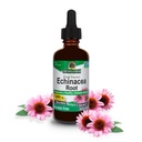 Odpowiedź natury Echinacea Extract 124; Wspiera zdrowy system immunologiczny 124; Wegan, Bez glutenu, Bez alkoholu, Non-GMO & Kosher Certyfikowany 124; 2oz