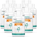 Orgabay Liposomal NAD + Suplement 500 mg, Wysoka absorpcja, Wzmacnianie NAD + z TMG 250 mg, Rzeczywisty NAD Plus bardziej wydajny niż Nikotynamid Riboside, Wsparcie energii komórkowej, Zdrowe Starzenie 124; 480 Softgels