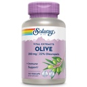 SOLARAY Olive 250mg - Olive Leaf Extract Kapsułki z 22% oleuropeiny, Plus balsam z cytryny - suplement polifenoli do wsparcia Wellness - Wegan, 60- Day Guarantee, Lab Verified - 120 Servings, 120 VegCaps