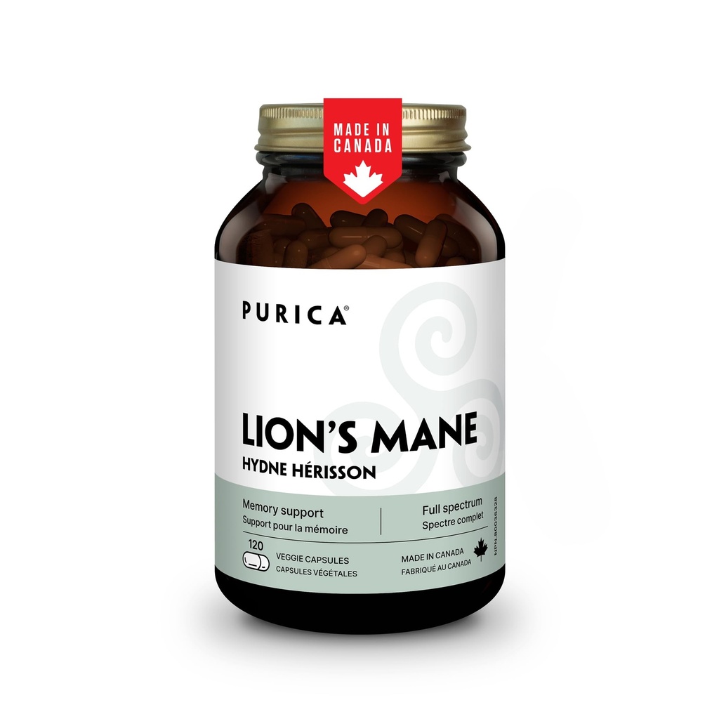 PURICA - Grzyby zmikronizowane Mane Lwa, 120 Kapsułek Wegan 60- Day Supply - Promotes Cognitive Health - Nie-GMO i Gluten- Free - Focus and Memory Support - Mózg Zdrowie i Poprawa trawienia