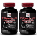 Zwiększenie popędu płciowego - TRIBULUS TERSTARIS IS EXTRACT - Tribulus terrestris ekstrakt dla źródła energii, Seks drive pigułki dla mężczyzn i kobiet, Seks drive pigułki, Libido booster - 2 butelki 180 tabletek