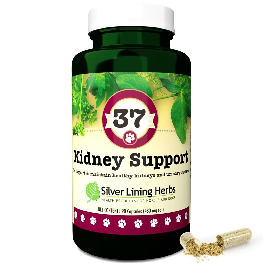 Srebrne Linning 37 Psie Nerki Wsparcie - Herbal Dog Supplement - Naturalny Mieszanka Wsparcia dla Normalnej Nerki i pęcherza funkcji - 90 Kapsułki