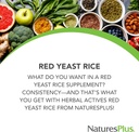 NaturesPlus Herbal Actives Red Yeast Rice - 120 Kapsułki wegetariańskie, Opakowanie 2 - Maksymalny potencjał Herbal Supplement - Gluten Free - 240 Wszystkich Sług