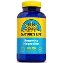 Nature Life Renewing Magnezu 500 mg - Cytrat, jabłczan, tlenek Plus Witamina B- 6 - Wsparcie dla mięśni i nerwów - Laboratorium zweryfikowane (250 Servings, 250 VegCaps)