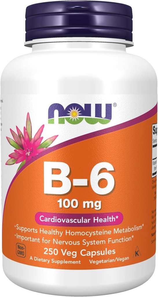 Teraz suplementy diety, Witamina B- 6 (HCl pirodoksyny) 100 mg, Zdrowie układu krążenia, 250 Kapsułki Veg