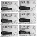 30 000 mg Shilajit Tablets, 100% Shilajit Pure, Himalayan Organic, Shilajit for Men and Women Rich in Fulvic Acid & 85 + Ślady minerałów, suplement Shilajit dla energii i układu immunologicznego, 360