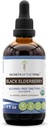 Black Elderberry USDA Organiczne nalewka 124; Alcohol- Free Extract, Wysokiej potencji Ziołowe Krople, Immune System Zdrowia 124; Made from 100% Certified Organic Black Elderberry (Sambucus Nigra) 4 oz