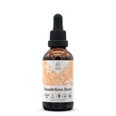 Ekstrakt z naturalnych nalewek, system immunologiczny booster, płynne krople wykonane z 100% Dandelion (Taraxacum officinale) Suszony korzeń (2 fl oz)