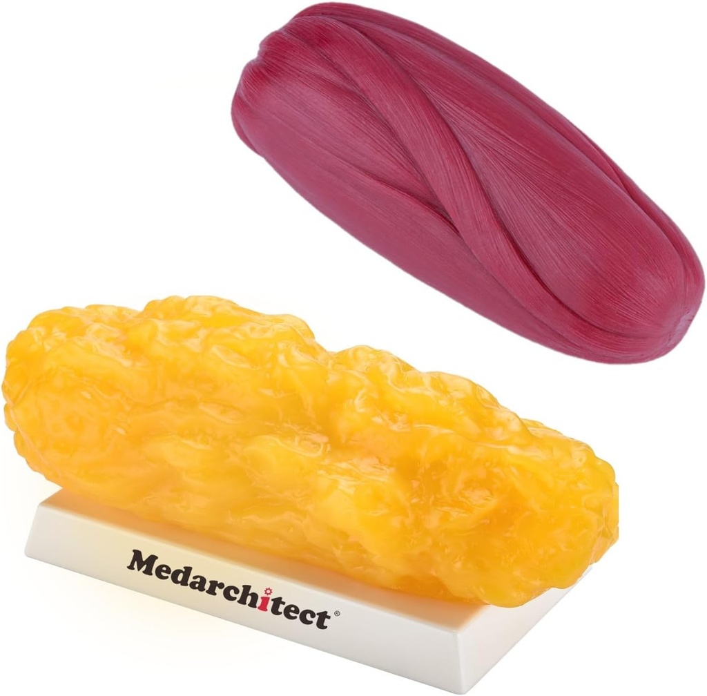 Medarchitekt Autentyczny Tłuszcz i Mięśnie - 5 lb
