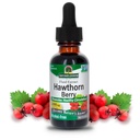 Odpowiedź przyrody Hawthorn Berries 124; Promotes Healthy Circulation Function 124; Pomaga utrzymać zdrowe Cholesterol Poziomy 124; Gluten- Free, Alkohol-Free, Kosher Certified & No Conservatives 1oz