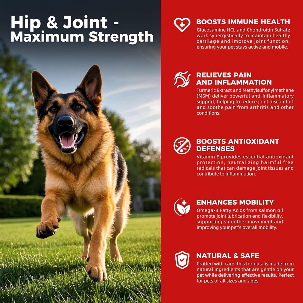 Dog Hip and Joint Supplement - Leczenie przeciwbólowe psów przeciwzapalne z Glukozaminą, Chondroitin, MSM, Turmeric, Witamina E, Omega 3 - Leczenie dysplazji Hip, Zapalenie stawów - Wszystkie duże małe średniej Rasa