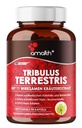 Amalth Tribulus Terrsestris, 20: 1 Extract Per Serving, Najwyższa potencja z Ashwagandha, Saw Palmetto, Shilajit 120 Kapsułki