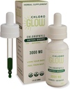 Chloroglowa ciecz Chlorofil Tlen Krople 3000mg Tlenki 124; Suplement energetyczny Metabolizm Wsparcie immunologiczne, Natural Detox, Pomoc chorobowa Wysokość & Suplement odsiarczania ciała 30ml (Opakowanie z 1)