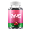 Sea Moss 4000mg Gummie z Ashwagandha, Elderberry, Jabłko Cydr Ocet, Bladderwrack, Burdock Root - Wsparcie immunologiczne - Mieszane Berry Flavor - 60 Count
