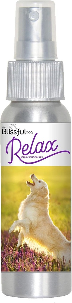 Błogi pies Golden Retriever Relax pies Aromaterapia Spray dla swojego psa Lęk