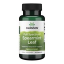 Swanson Spearmint Leaf (Mentha Spicata) - Full Spectrum Herbal Supplement support Digestive Health & Mild Stomach Issues - Natural Formula Support Health & Wellness - (60 kapsułek, 400mg każdy)